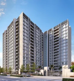 Anaya Properties