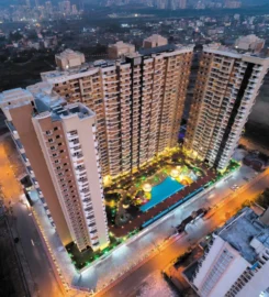 Anaya Properties